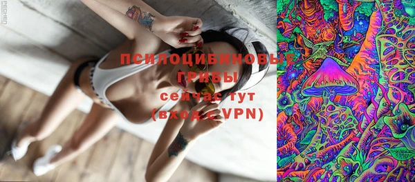 мдпв Корсаков