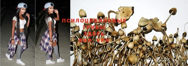 MDMA Костерёво