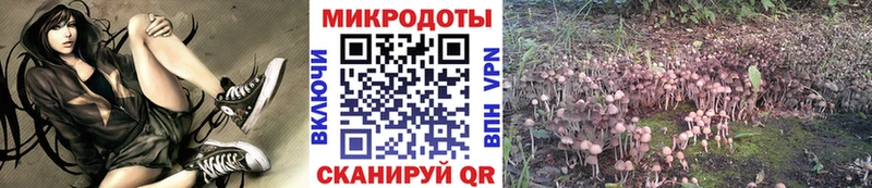 Галлюциногенные грибы Magic Shrooms  Купить  Няндома 