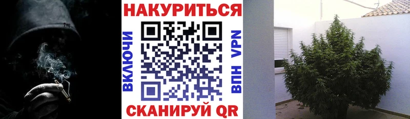 Канабис SATIVA & INDICA  Купить где  Няндома 